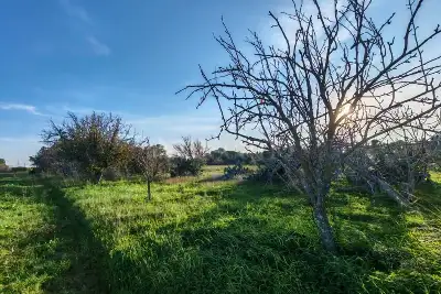 Capannone in vendita, SS16, Brindisi