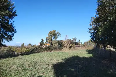 Agricolo in vendita, Via del casale d'Antoni, Roma