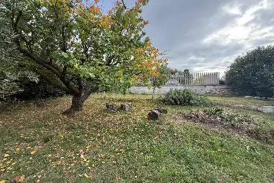 Villa Bifamiliare in vendita, Via Doganale, Ciampino, Ciampino