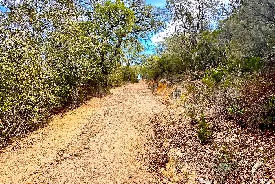 Agricolo in vendita, Loc Graminatoggiu , Loiri Porto San Paolo
