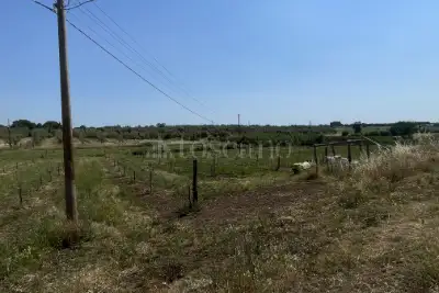 Agricolo in vendita, Strada Cassia Sud, Viterbo