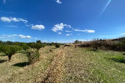 Agricolo in vendita, Via San Marco, Calatabiano