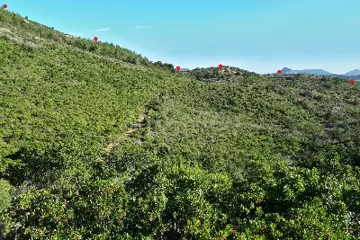 Agricolo in vendita, Berchidda, SP 138, Berchidda