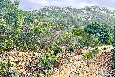 Agricolo in vendita, Loc. Caldosu, Sant'Antonio di Gallura