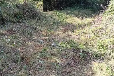 Agricolo in vendita, varazze via Quinno, Varazze