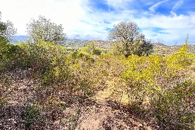 Agricolo in vendita, Trudda , Loiri Porto San Paolo