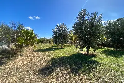 Agricolo in vendita, Via San Marco, Calatabiano