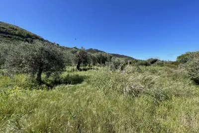 Rustico in vendita, Strada Provinciale 50, Messina