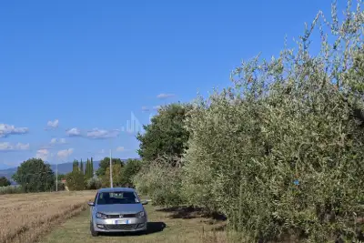 Agricolo in vendita, Loc. Borgatello Il Melograno, Colle di Val d'Elsa