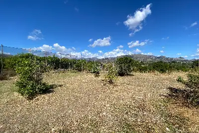 Agricolo in vendita, Via San Marco, Calatabiano