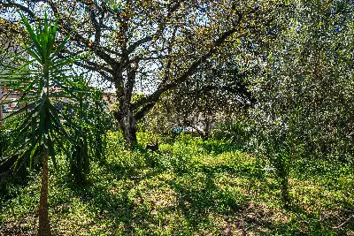 Villa in vendita, Via Catania, Tremestieri Etneo