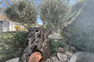 Villa Bifamiliare in vendita, Via Costa Rotonda , Marino