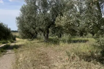 Agricolo in vendita, Strada Cassia Sud, Viterbo