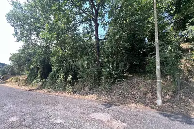 Agricolo in vendita, Via Sozzago, Roma