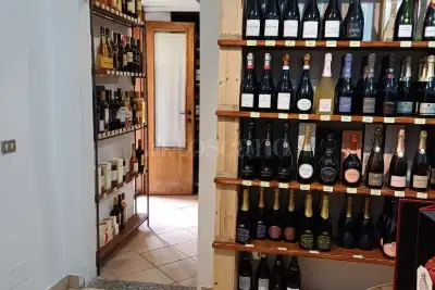 Attività Commerciale in vendita, Viale della Repubblica, Lavena Ponte Tresa