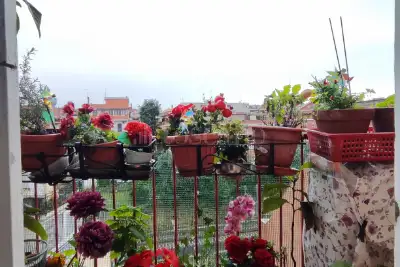 Casa in affitto, Via Alessandro Pieri, Roma