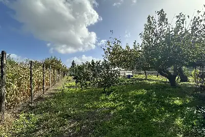 Casa Indipendente in vendita, Via Capone, Scafati