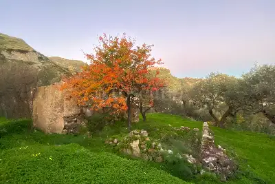 Casale in vendita, Contrada Mastrissa, Taormina