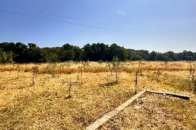 Villa in vendita, Telti, Telti