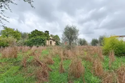 Casa Indipendente in vendita, Via Casorzo, Roma