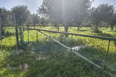 Agricolo in vendita, Via Martognella, Valderice