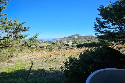 Agricolo in vendita, Località Li Paddimi, Castelsardo