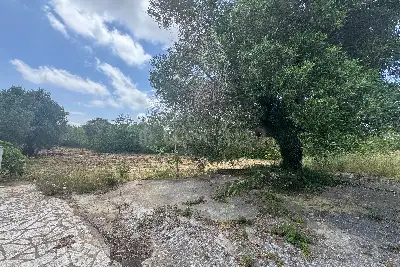 Villa Bifamiliare in vendita, Contrada Salinola, Ostuni