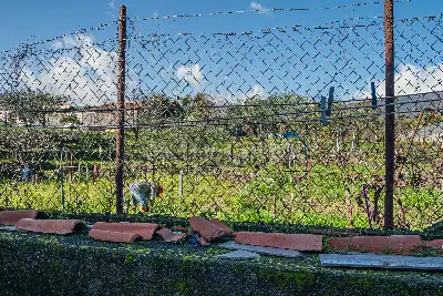 Villa in vendita, Via Lucio Piccolo, Zafferana Etnea