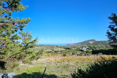 Agricolo in vendita, Località Li Paddimi, Castelsardo