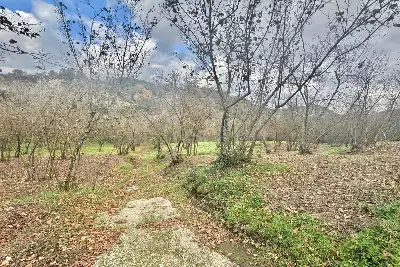 Agricolo in vendita, Via Belle Donne, Cesinali