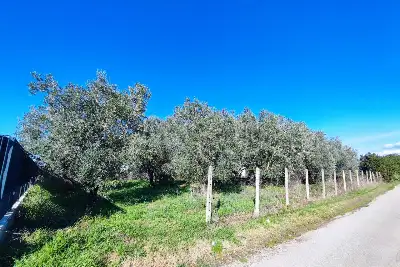 Agricolo in vendita, Via Tropea, Aprilia