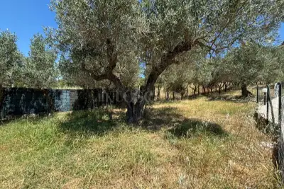 Magazzino in vendita, Via Fausto Gullo, Borgia