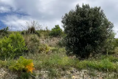 Agricolo in vendita, Motta San Giovanni, Motta San Giovanni