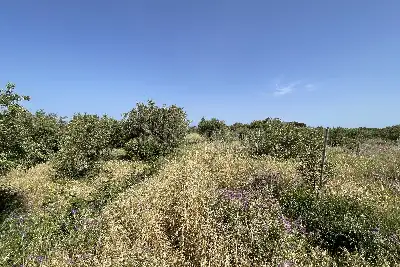 Agricolo in vendita, Piano Torre Spartà, Messina