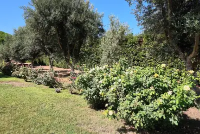 Casa Indipendente in vendita, Strada Vicinale Maccia Guletta, Sassari