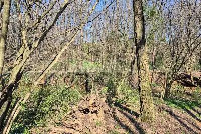 Agricolo in vendita, Via Sant'Agostino, Mariano Comense