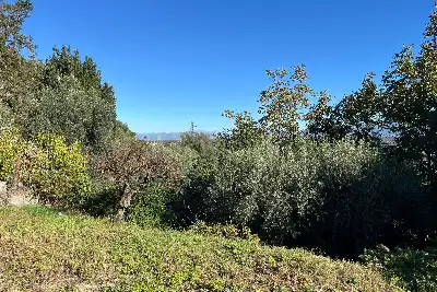 Edificabile Residenziali in vendita, Via Menotti Garibaldi, Mentana