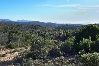 Agricolo in vendita, Berchidda, SP 138, Berchidda