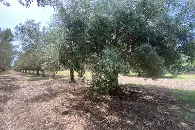 Villa in vendita, Via San Giovanni Bosco, Siracusa