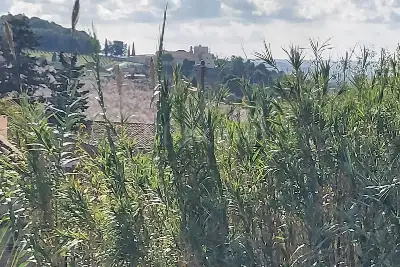 Casa Indipendente in vendita, Via Piano Neve, Buseto Palizzolo