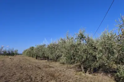 Agricolo in vendita, Loc. Borgatello Il Melograno, Colle di Val d'Elsa