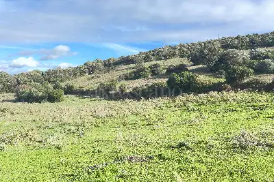 Agricolo in vendita, SANT'ANTONIO DI GALLURA , Sant'Antonio di Gallura