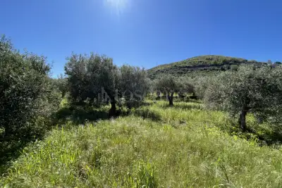 Rustico in vendita, Strada Provinciale 50, Messina