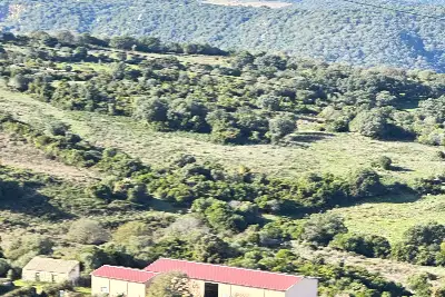 Agricolo in vendita, SANT'ANTONIO DI GALLURA , Sant'Antonio di Gallura