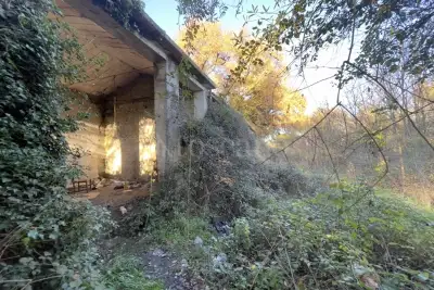 Edificabile Industriale in vendita, Orte Loc. Caldare, Orte