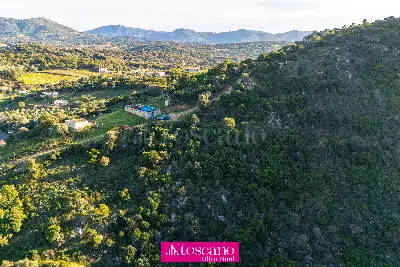 Agricolo in vendita, SP 79, Olbia, Olbia