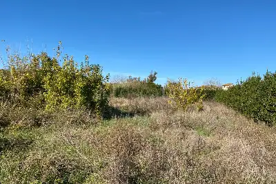 Agricolo in vendita, Via della storta, Roma