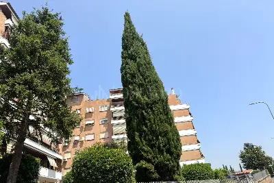 Casa in vendita, Via Zignago, Roma