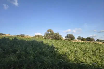 Agricolo in vendita, Contrada Martognella, Valderice
