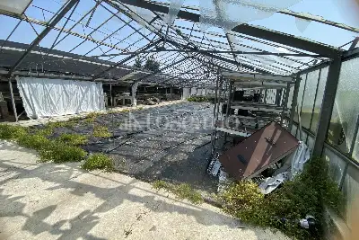 Agricolo in vendita, VIA CERCA , Settala